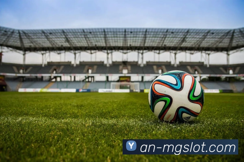 多媒体互动体验